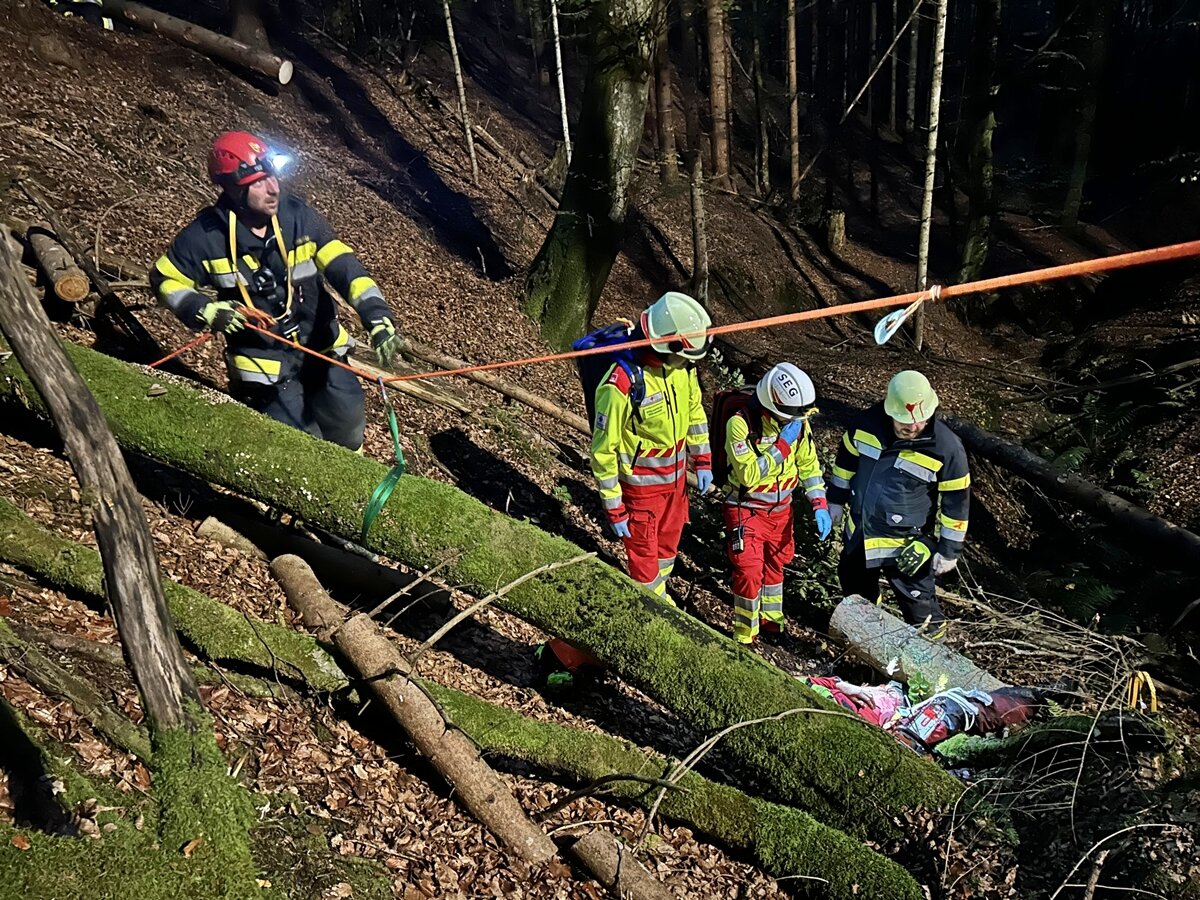 Bergretter sichern im Wald eine verunglückte Person mit Seilen, Steiermark